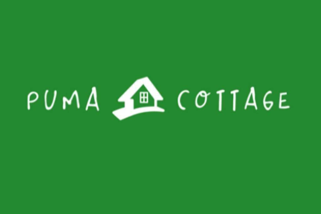 Puma Cottage Horcón Buitenkant foto