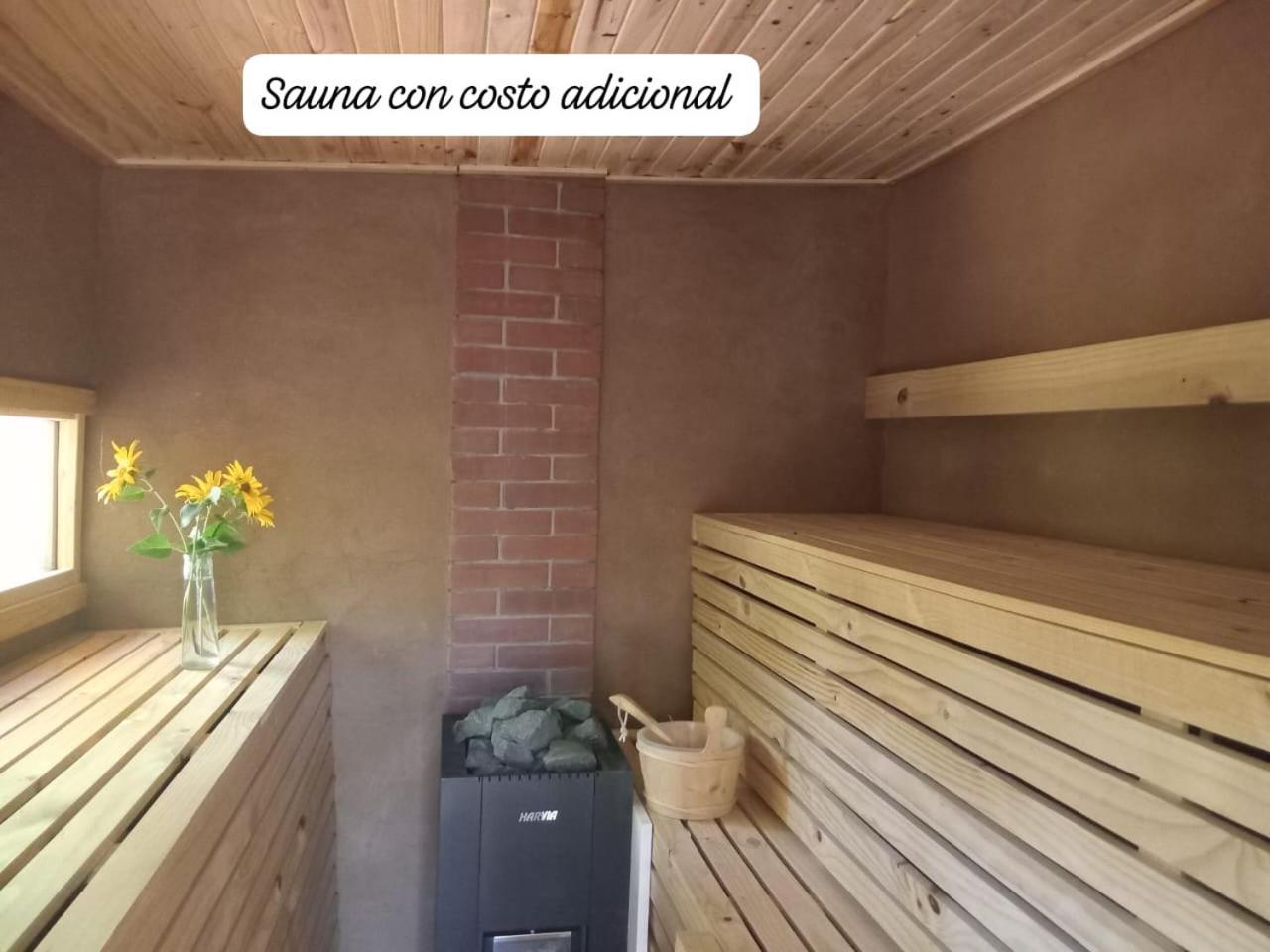 Puma Cottage Horcón Buitenkant foto